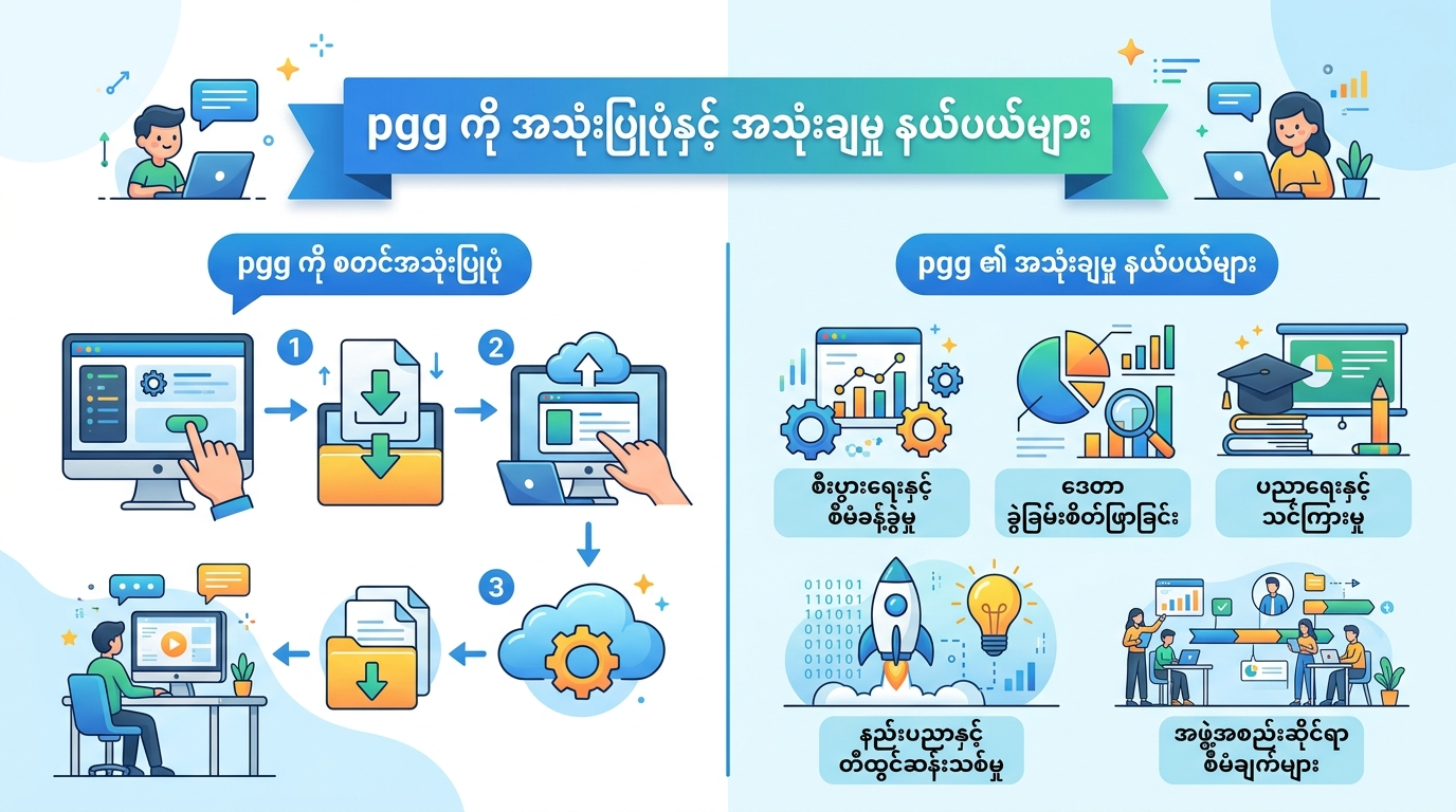 pgg ကို အသုံးပြုပုံနှင့် အသုံးချမှု နယ်ပယ်များ